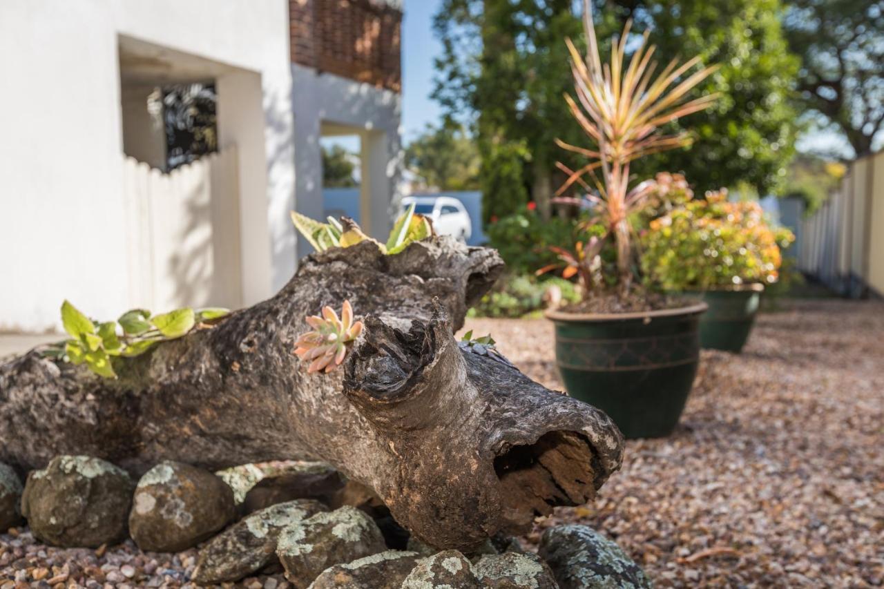 Cumquat House Bed & Breakfast อิพสวิช ภายนอก รูปภาพ